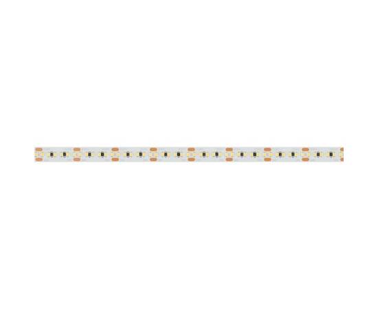 Светодиодная лента Arlight 8W/m 300LED/m 2216SMD холодный белый 5M 023556(2), изображение 2