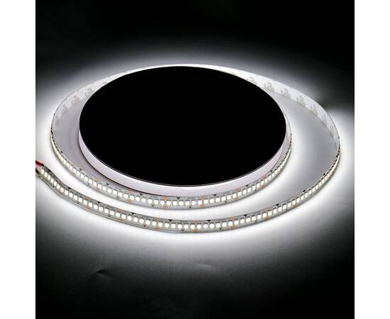 Светодиодная лента SWG Standard SWG2240-24-20-W-M 032744, изображение 3