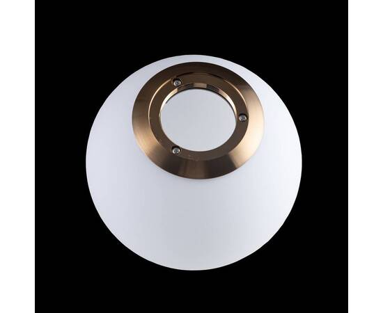 Подвесной светильник Loft IT Glob LOFT2595-A, изображение 2