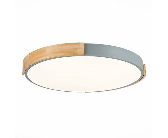Потолочный сетодиодный светильник Evoluce Delia SLE201372-01, изображение 2