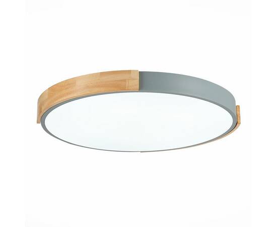 Потолочный сетодиодный светильник Evoluce Delia SLE201372-01, изображение 3