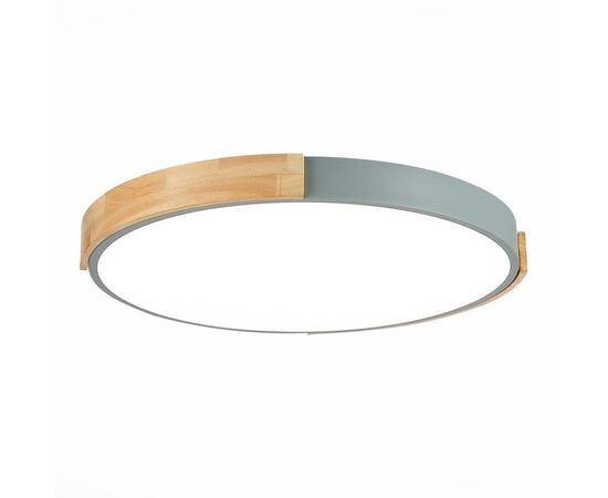 Потолочный сетодиодный светильник Evoluce Delia SLE201372-01, изображение 4