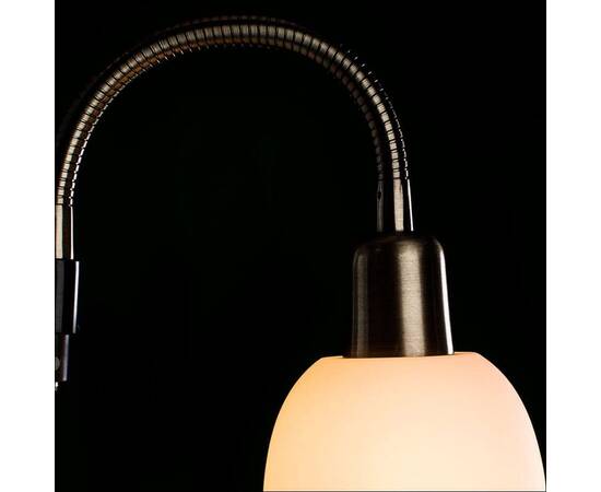Торшер Arte Lamp Duetto A9569PN-2AB, изображение 3