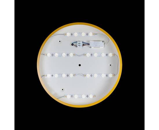 Потолочный светодиодный светильник Loft IT Axel 10002/24 yellow, изображение 3