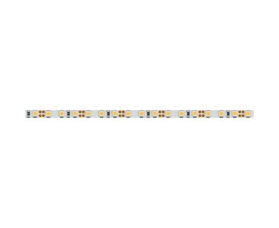 Светодиодная лента Arlight 9,6W/m 120LED/m 2835SMD теплый белый 5M 018101(2), изображение 4