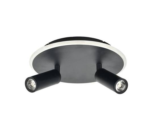 Потолочный светодиодный светильник Escada 20046SMA/02LED BK