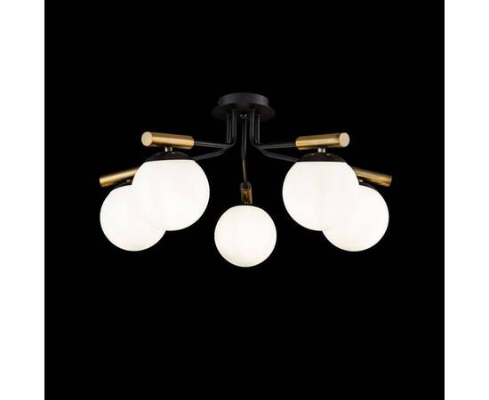 Потолочная люстра Freya Paolina FR5011CL-05B, изображение 2