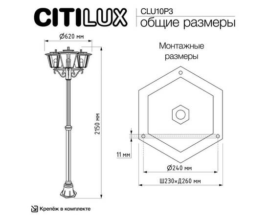 Парковый светильник Citilux Forts CLU10P3, изображение 12