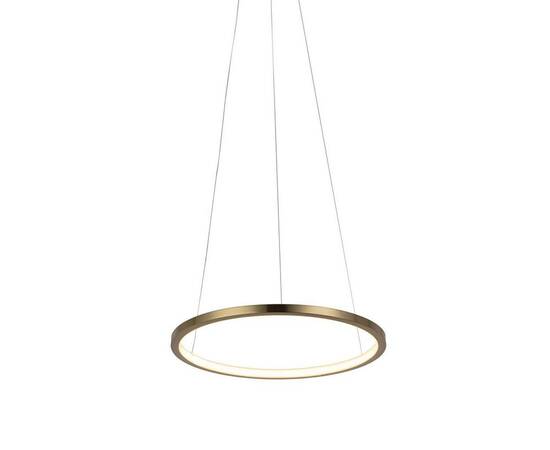 Подвесной светодиодный светильник Loft IT Ring 10014S, изображение 2