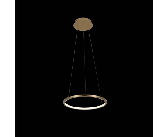 Подвесной светодиодный светильник Loft IT Ring 10014S, изображение 4