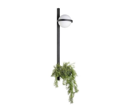 Настенный светильник LOFT IT Jardin 10121W/B, изображение 2