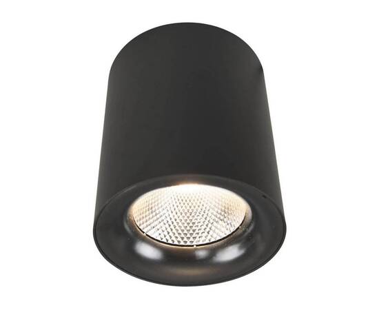 Потолочный светодиодный светильник Arte Lamp Facile A5118PL-1BK