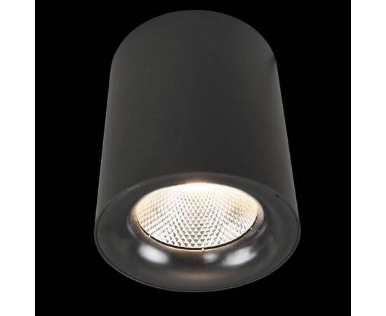 Потолочный светодиодный светильник Arte Lamp Facile A5118PL-1BK, изображение 2