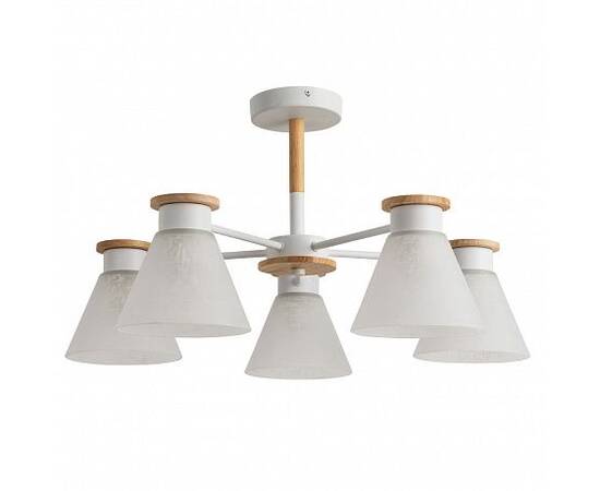 Потолочная люстра Arte Lamp Tyler A1031PL-5WH