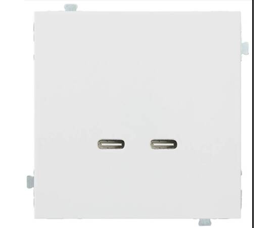 Механизм USB-зарядного устройства С/C, 60 Вт Rikett (32382)