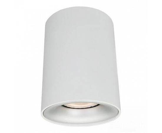 Потолочный светильник Arte Lamp Torre A1532PL-1WH