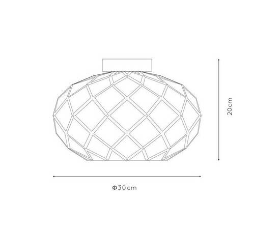 Потолочный светильник Lucide Wolfram 21117/30/02, изображение 2