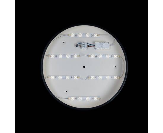 Потолочный светодиодный светильник Loft IT Axel 10002/24 black, изображение 3