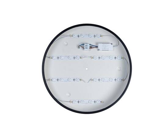 Потолочный светодиодный светильник Loft IT Axel 10002/24 black, изображение 4