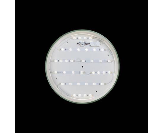 Потолочный светодиодный светильник Loft IT Axel 10001/36 green, изображение 3
