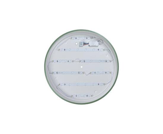 Потолочный светодиодный светильник Loft IT Axel 10001/36 green, изображение 4