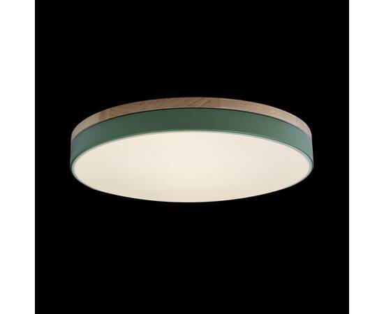 Потолочный светодиодный светильник Loft IT Axel 10001/36 green, изображение 5