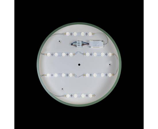 Потолочный светодиодный светильник Loft IT Axel 10002/24  green, изображение 3