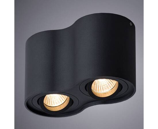 Потолочный светильник Arte Lamp Falcon A5645PL-2BK, изображение 2