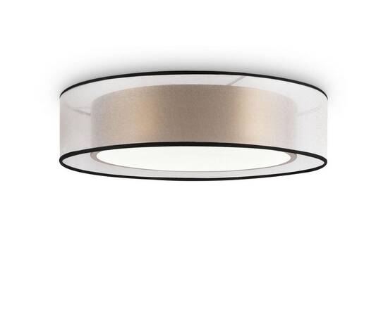 Потолочный светодиодный светильник Freya Zoticus FR6005CL-L36G