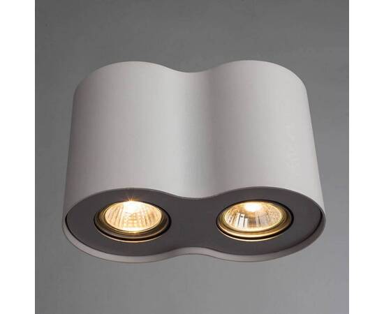 Потолочный светильник Arte Lamp Falcon A5633PL-2WH, изображение 2