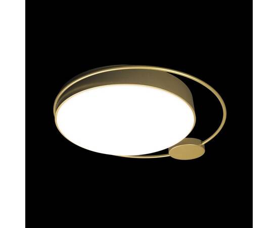 Потолочный светодиодный светильник Loft IT Mike 10063, изображение 2