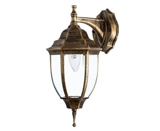 Уличный настенный светильник Arte Lamp Pegasus A3152AL-1BN