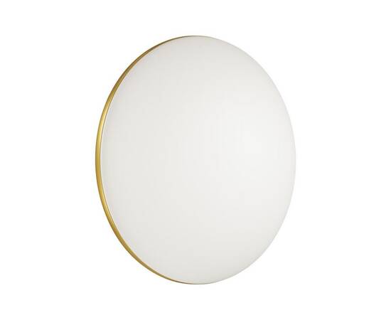 Настенно-потолочный светодиодный светильник Sonex Tan Lassa 3043/DL