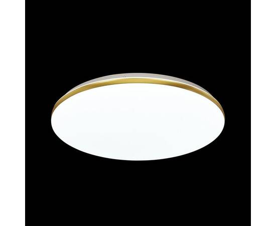 Настенно-потолочный светодиодный светильник Sonex Tan Lassa 3043/DL, изображение 4