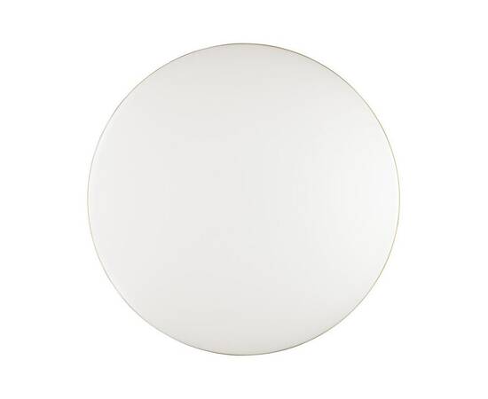 Настенно-потолочный светодиодный светильник Sonex Tan Lassa 3043/DL, изображение 5