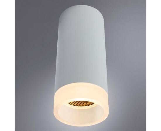 Потолочный светильник Arte Lamp Ogma A5556PL-1WH, изображение 4