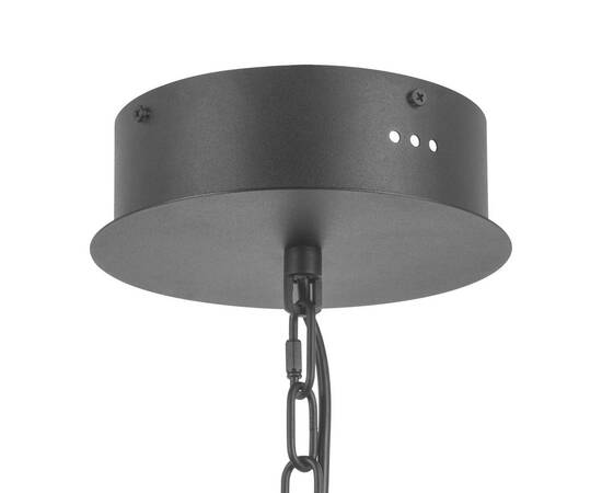 Подвесная светодиодная люстра Lightstar Iris 734247, изображение 2