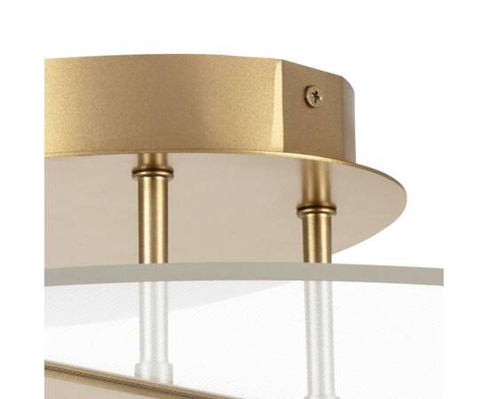 Потолочная светодиодная люстра Lightstar Acrile 738053, изображение 3