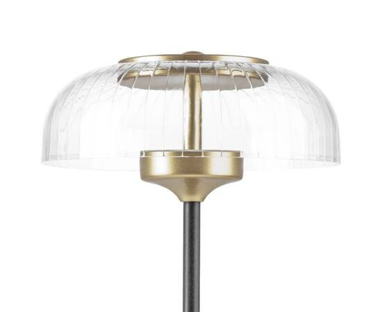 Настольная светодиодная лампа Lightstar Acrile 738973, изображение 3