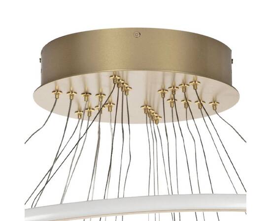 Подвесная светодиодная люстра Lightstar Rotonda 736483, изображение 5