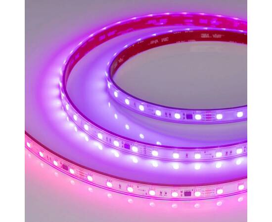 Светодиодная лента Arlight 12W/m 60LED/m 5060SMD разноцветный 5М SPI-PS-B60-12mm 24V 039181, изображение 3