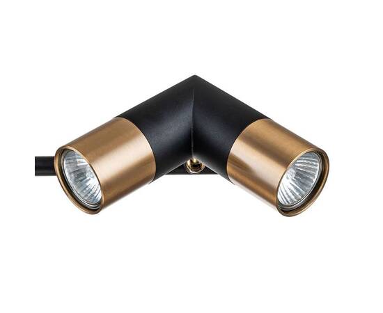 Подвесная люстра Indigo Doppio 11036/6R Black V000452, изображение 2