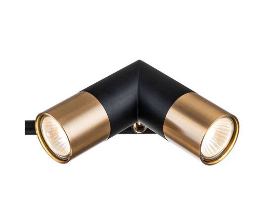 Подвесная люстра Indigo Doppio 11036/6R Black V000452, изображение 3