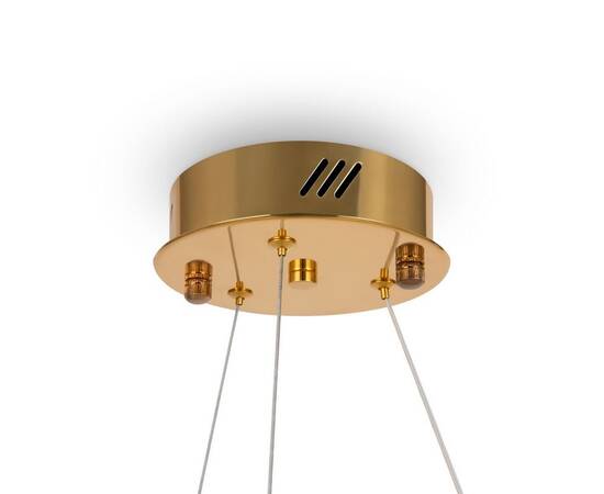 Подвесной светодиодный светильник Freya Tier FR5257PL-L17G, изображение 3