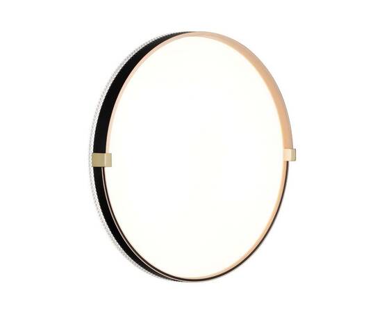 Настенно-потолочный светодиодный светильник Sonex Pale Olidi Black 7647/DL, изображение 3