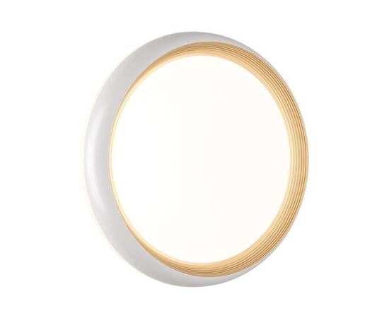 Настенно-потолочный светодиодный светильник Sonex Pale Tofiq White 7650/DL, изображение 4