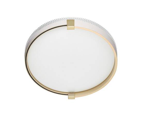 Настенно-потолочный светодиодный светильник Sonex Pale Olidi White 7646/CL