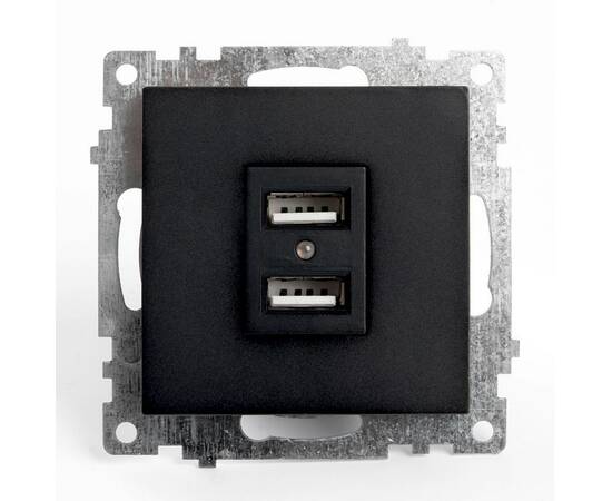 Розетка 2хUSB Stekker Катрин черный GLS10-7115-05 39616