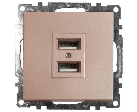 Розетка 2хUSB Stekker Катрин шампань GLS10-7115-02 39602