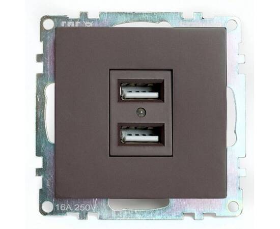 Розетка двухместная USB Stekker Катрин шоколад GLS10-7115-04 49027